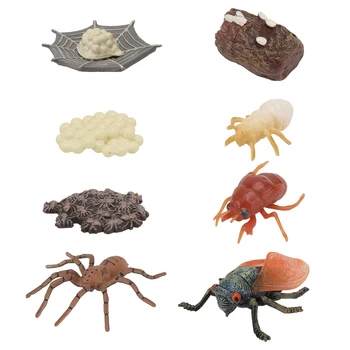 8 Gab. Imitētu Plastmasas Dzīvnieku Modeļiem, Kukaiņu Augšanas Cikla Spider Cicadas Izaugsmes Zinātnes Izziņas Izglītības Rotaļlietas